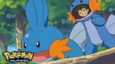 Pokémon: AG Tập 281: Ziguzaguma Và Cậu Bé Quần Ngắn! Trận Đấu Đầu Tiên Của Haruka!! (Thuyết Minh)