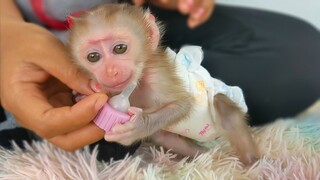 Most Happiness Moment!!! Wow, so adorable tiny Luca is smile when Mom gently comforts him