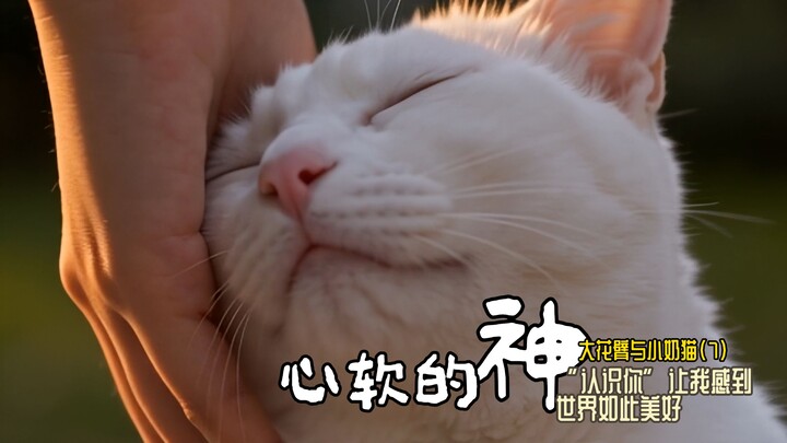 “บางทีคุณอาจไม่รู้ แต่ฉันเฝ้ารอให้คุณมาทุกวัน”