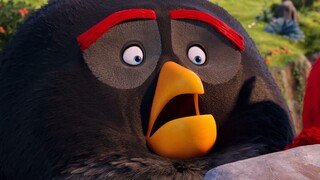 The Angry Birds Movie