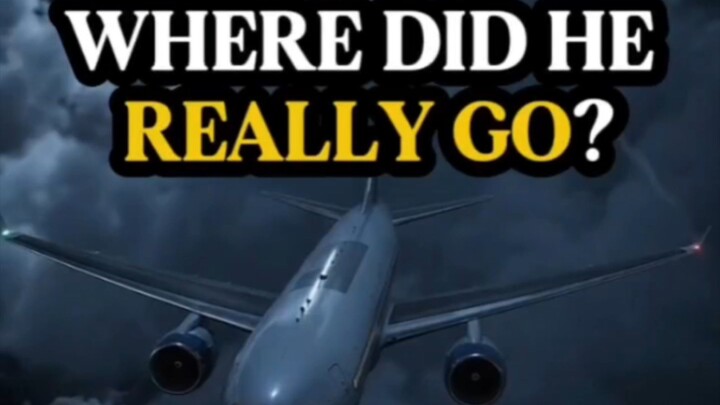 The MH370 Mystery: What Really Happened? ✈️🌊 #viral