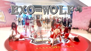【EXO】Wolf狼与美女全女11人版翻跳路演｜无所谓我们会有自己的生命之树