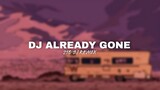 DJ Already Gone Slow Beat - Zio Dj Remix