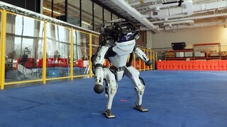 Boston Dynamics lại tung video nhảy múa, ba chú robot đình đám hội tụ cùng nhau nhảy múa!