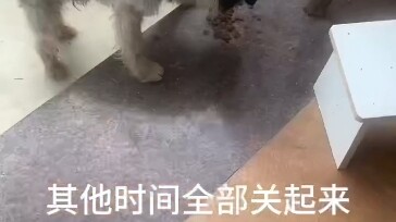 Aku mau lapor polisi untuk menangkap anjing itu dan menghukumnya!