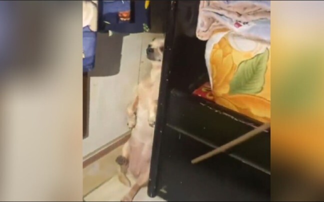 لا تراني... لا تراني.