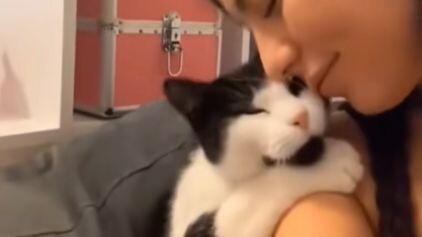 Inilah alasan saya sangat mencintai kucing