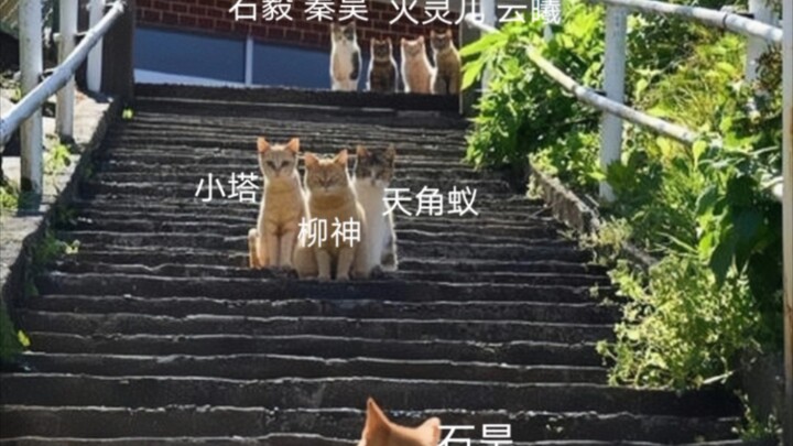 This time, I’ll make my own decision for all eternity. Everyone in Stone Village, please take good c