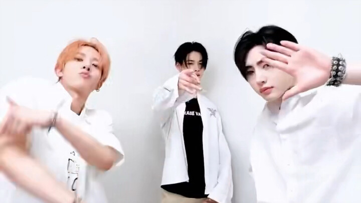 Đừng đánh nữa! Các bạn đừng đánh nữa! Chịu thua nhóm hài nam của các bạn rồi! ENHYPEN cập nhật TikTo