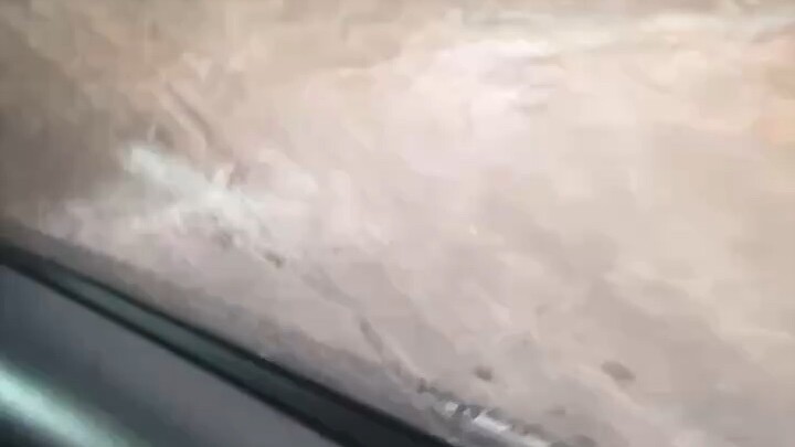 早安🌿生活不会每天都轻松，但每个清晨，都给了我们重新开始的机会。新的一天，慢慢来✨