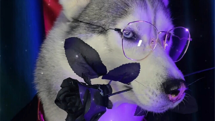 Chiếc áo sơ mi vừa trong trẻo vừa gợi cảm này hợp với Mễ Tuu quá đi mất!