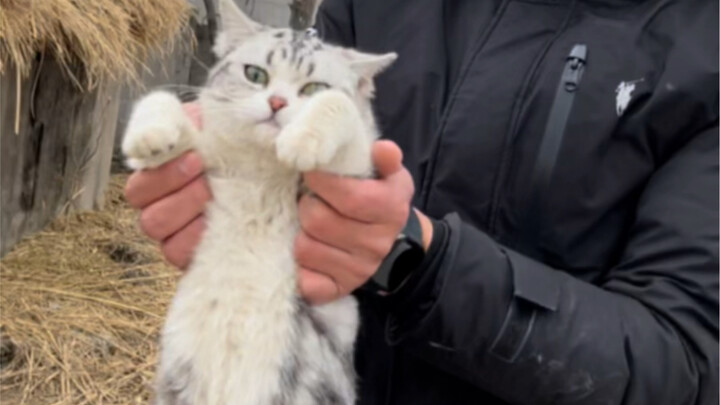 في البيت ألف يوم جميل، لكن خارجه كل شيء صعب. نتمنى أن تفهم تشيو شيانغ هذه الحقيقة هذه المرة. شكراً ل