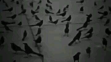 Itachi uchiha ril :v