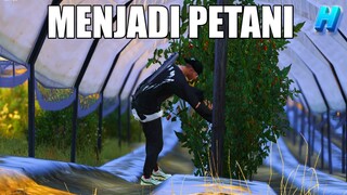 TERNYATA BEGINI RASANYA MENJADI SEORANG PETANI !!! GTA V ROLEPLAY