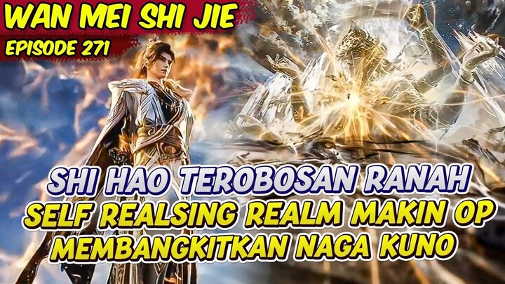 SHI HAO TEROBOSAN RANAH BARU MAKIN OVERPOWER  PERFECT WORLD  EPS 271