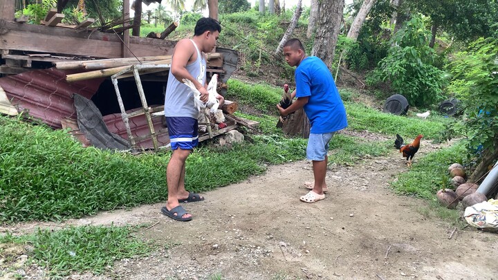 Father and son exercise (white clarets)