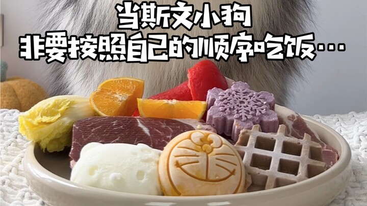 Khi chú cún lịch thiệp nhất định phải ăn theo thứ tự của mình