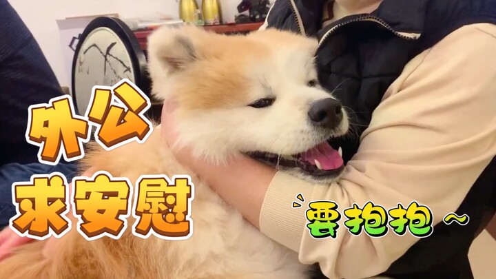 The fireworks are beautiful, but the dog is shaking like it’s on vibrate from fear!