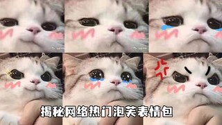 你们可能不认识小泡芙，但一定见过她的表情包