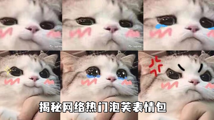 你们可能不认识小泡芙，但一定见过她的表情包