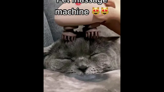 เราไม่ใช่ตัวสำรองหรอก จริง ๆ แล้วเราเป็นประธานบริษัท