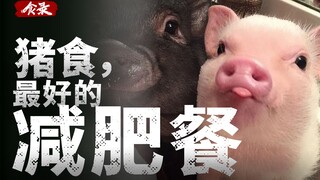【Food Record】If you want to lose weight, eat like a pig