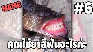 รวมคลิปตลกๆ : ฟันสวยขนาดนี้…ยาสีฟันต้องเข้าเเล้ว!!