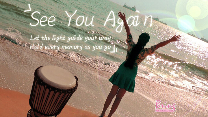 【Bring】Pipa/Shake/African Drums Cover "See You Again"