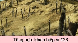 Tổng hợp: khiên hiệp sĩ p23