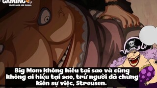 Top 8 Người Vô Tình Ăn Trái Ác Quỷ trong One Piece p8