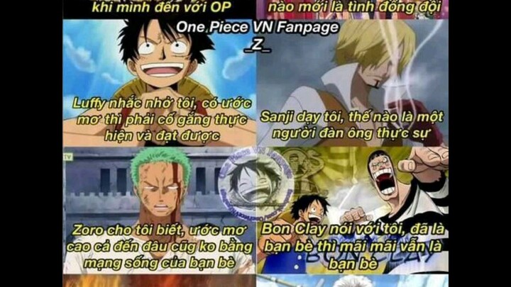 One Piece hài! Nhớ like nha
