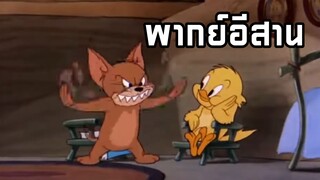 ทอมแอนด์เจอร์รี่ พากย์อีสาน ปราบบักทอม