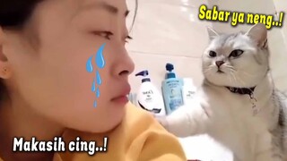 LUCU BANGET.! Reaksi Kucing Hibur Babu yang Lagi Sedih Bikin Netizen Gemas