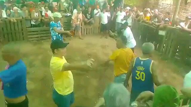 Quality vs bisaya gumiri pa , walang sugat hiraw -Win