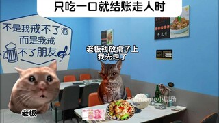当你在东北点了尖椒干豆腐只吃一口就结账走人时