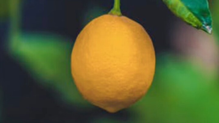 Test 8888