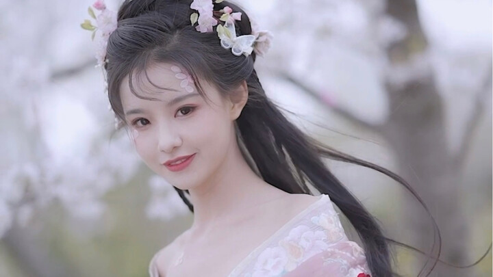 【Bắc Xuyên Hoan Hoan】Trong cơn mưa hoa anh đào này, hãy đi gặp người tình kiếp trước nhé