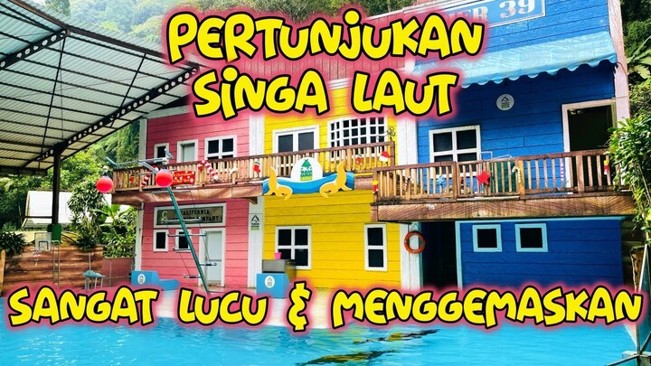 PERTUNJUKAN SINGA LAUT TAMAN SAFARI || LUCU & MENGGEMASKAN