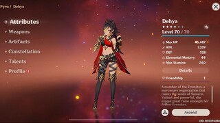 Genshin Impact Indonesia - Pembahasan Dehya Pyro five star mengenai Artifact dan Skill