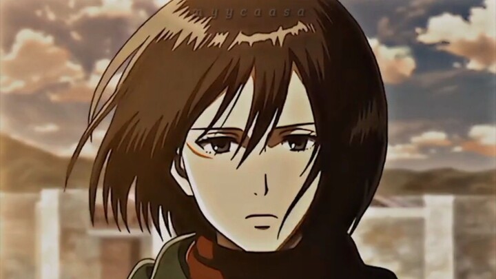 Mikasa