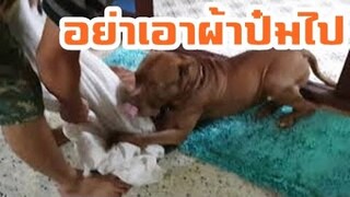 ขอผ้าไปซักหน่อย