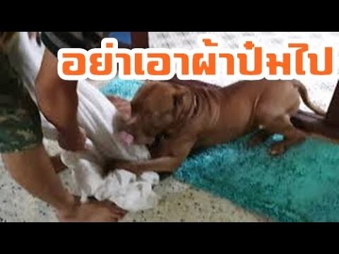 ขอผ้าไปซักหน่อย