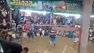 Champ2wins (inbreed) 2nd Fight