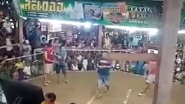 Champ2wins (inbreed) 2nd Fight
