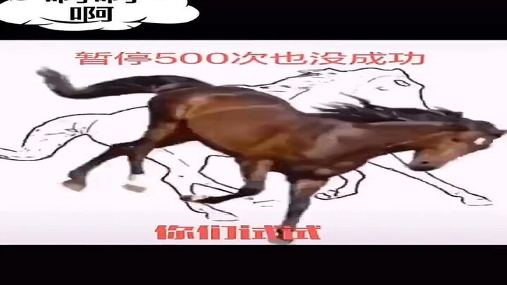 Success at a gallop! Perfectly parking the horse inside the box—so tough; it took 500 tries to nail 