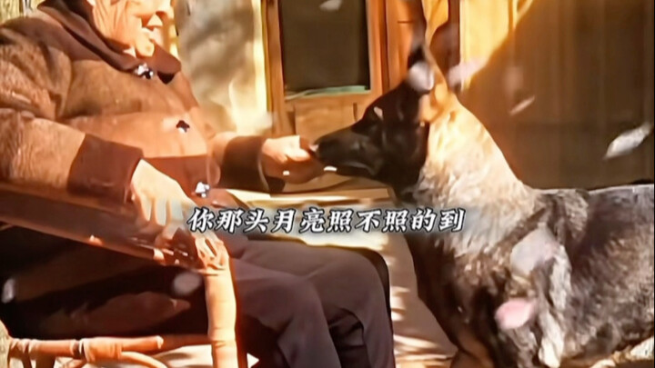 “ความใจดีและความอบอุ่นของสุนัข อบอุ่นยิ่งกว่าถ้อยคำใดๆ”