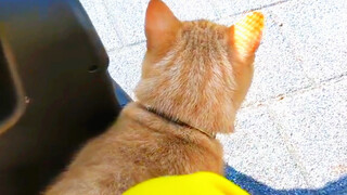 “Oh~ You’re finally here! Hurry up and start the car—we’re off!”