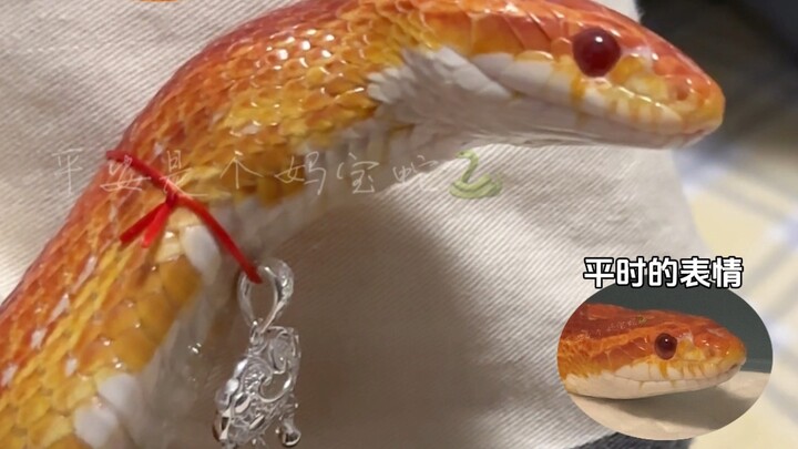 “The Advanced Course on Snake Facial Expressions”: I Won’t Say When I’m Angry”