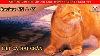 Mèo Mập Review Giải Cứu Con Mèo Liệt Hai Chân Và Cặp Chó Đáng Yêu || Review Con Người Và Cuộc Sống.