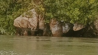 looking sa mga treasure sign sa gilid Ng ilog